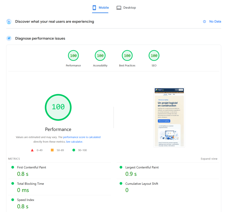 EN: Google Lighthouse results in English with a score of 100 on all criteria.