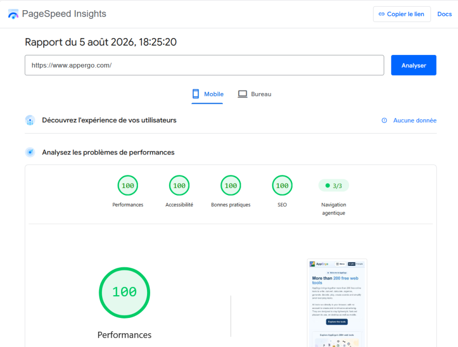 Lighthouse report scores in Google Chrome